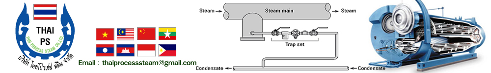Thai Process Steam